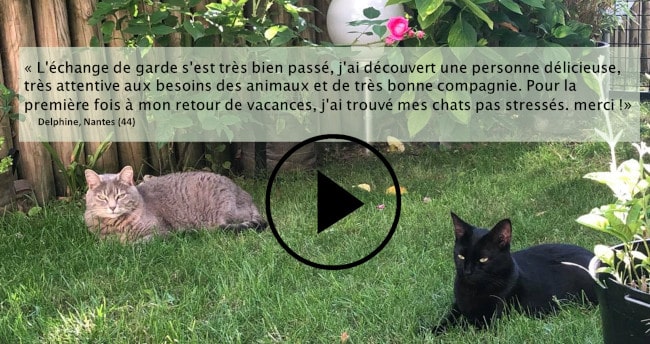 garde d'animaux à Nantes, échange de garde de chats