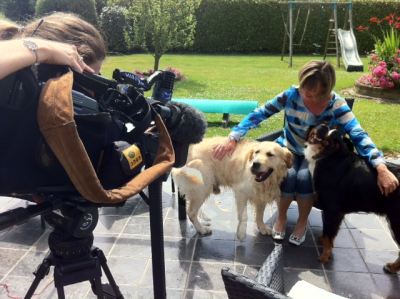 Reportages TV enthousiastes sur Animal Futé