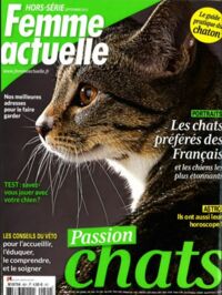 Faire garder son chat, solutions proposées par Femme Actuelle