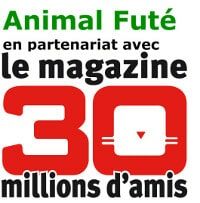 30 Millions d'Amis propose deux formules pour faire garder son animal