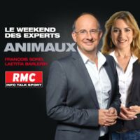 Sur RMC, pour la garde d'animaux, chiens, chats, NACs, l'échange entre particuliers avec L.Barlerin, vétérinaire