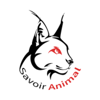 Savoir Animal: faire garder son chien, chat, NAC gratuitement avec l'échange Animal Futé