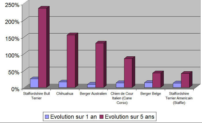 race de chien, 6 plus fortes evolutions