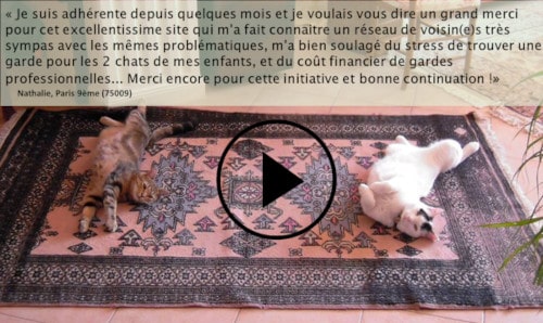 garde de chat à Paris, avis sur l'échange gratuit Animal Futé