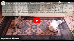 faire garder son chat gratuitement, avis sur Animal Futé