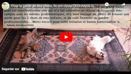 garde de chat, avis sur l'échange Animal Futé