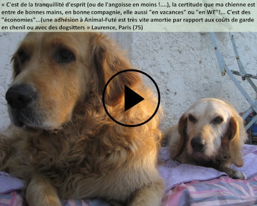 garde de chien à Paris, avis sur l'échange gratuit Animal Futé
