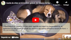 faire garder son chien gratuitement, avis Animal Futé