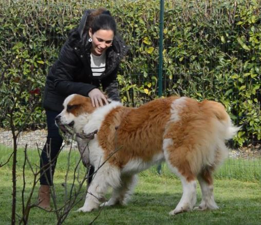 Caroline et son chien à Nantes, pour un témoignage sur l'échange de garde entre particuliers