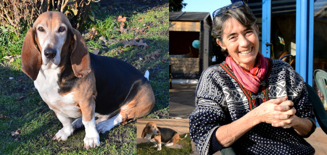 Garde de chiens à Bordeaux, Véronique et des deux bassets artésiens