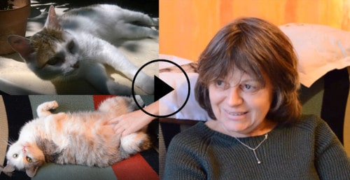 garde de chats à Lyon, témoignage d'échanges de Muriel