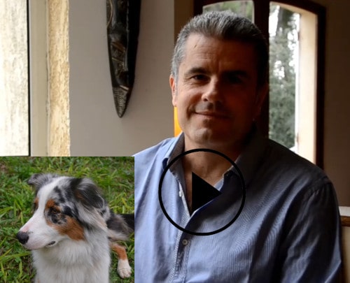garde de chien à Marseille, témoignage de Jean-Michel