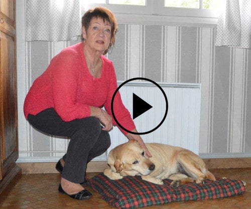 garde gratuite de chien en Vendée, Annette témoigne pour son labrador