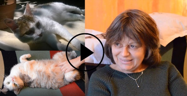 garde de chat à Lyon, témoignage de Muriel, adhérente Animal Futé