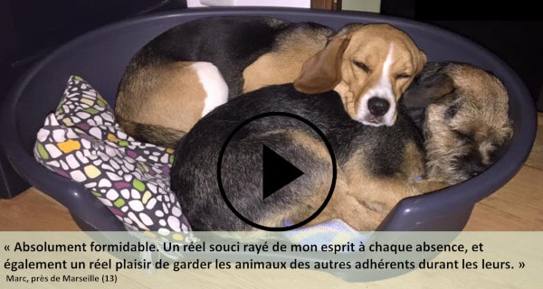 faire garder son chien avec l'échange gratuit