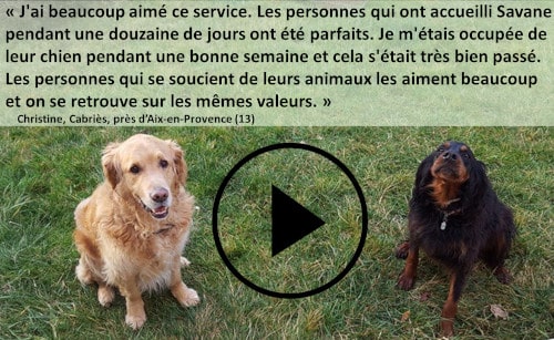 garde de chien à Aix-en-Provence, avis sur Animal Futé
