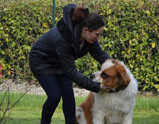 Garde de chien à Nantes, Caroline, adhérente Animal Futé