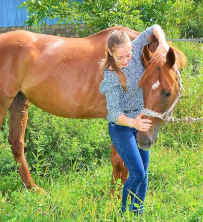 ostéopathe animalier, soins d'un cheval