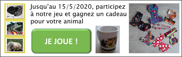 Jeu concours Animal Fute 2020