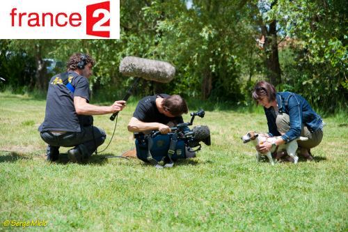 Tournage reportage de France 2 sur Animal Futé