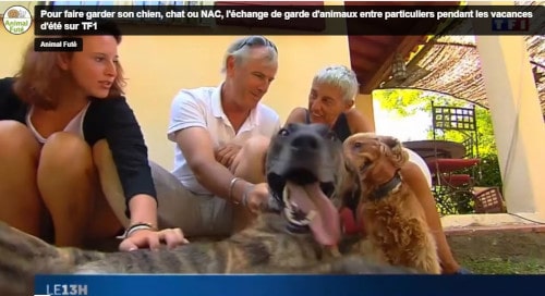 un boxer Animal Futé dans le JT de TF1