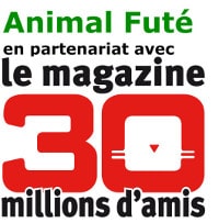 30 Millions d'amis, partenaire d'Animal Futé