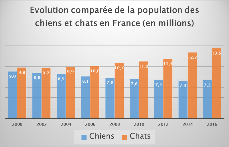 Evolution comparée des effectifs de chiens et de chats entre 2000 et 2016