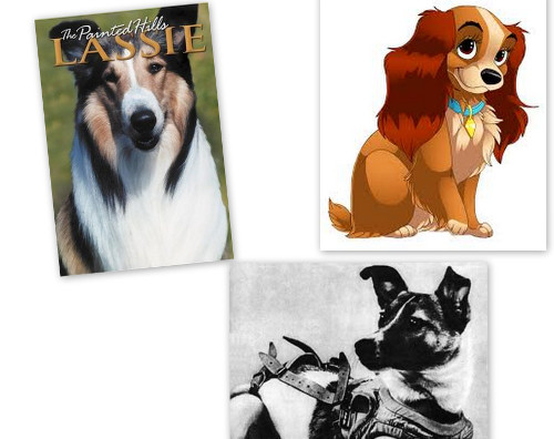 Coloriages Mystères Disney Chiots Et Chiens Coloriez Les Chiffres Et