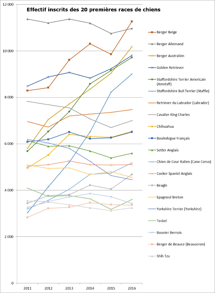 Race de chien effectif inscrits 20 1ères races 2016