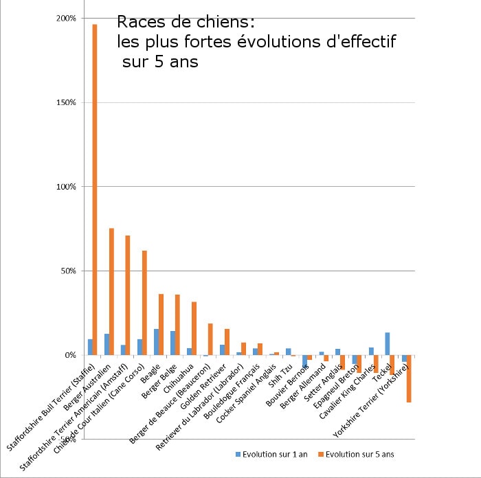 Races de chiens, les plus fortes évolutions d'effectif