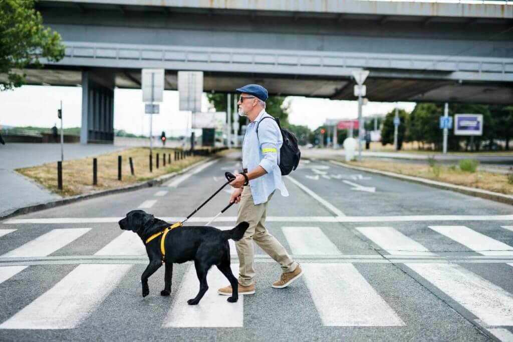 éducateur chien guide d'aveugles