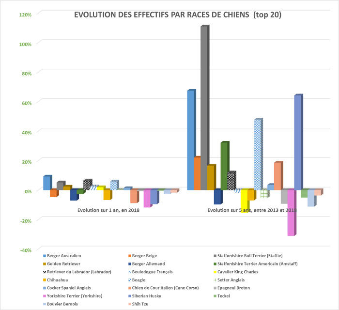 Évolutions des races de chiens sur 1 et 5 ans