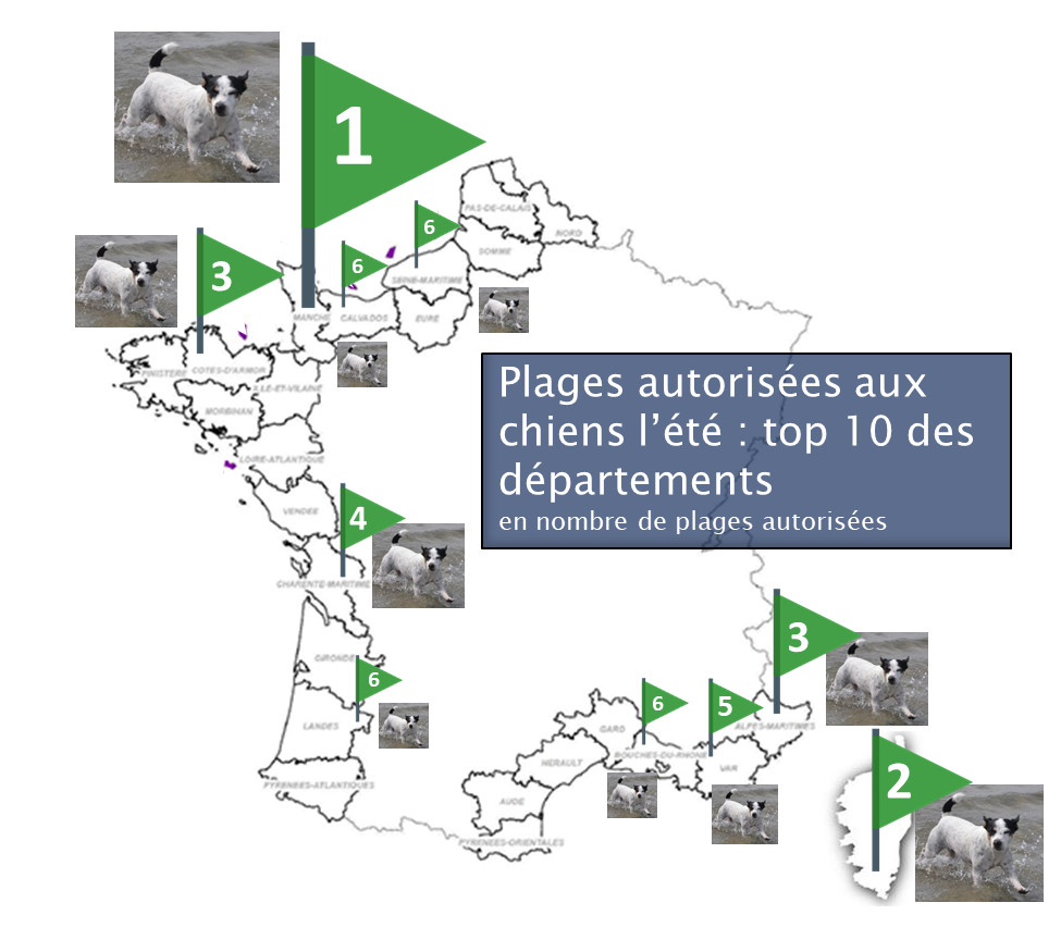 plages autorisées aux chiens sur les cotes françaises, le top 10 des départements