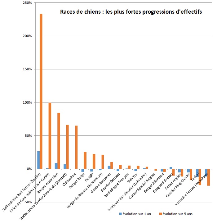 race-de-chien-2015-plus-fortes-progressions