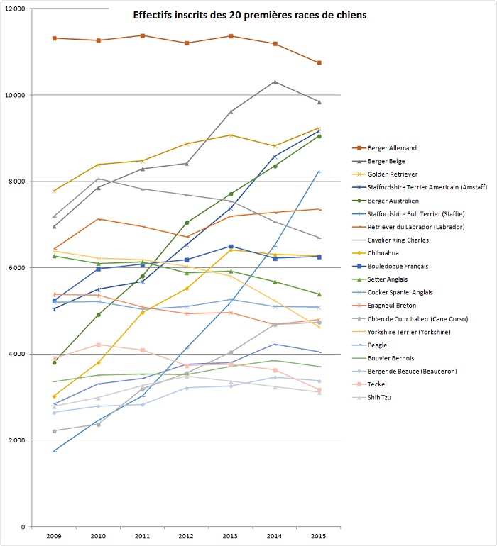 race-de-chien-graphique-effectifs-2015