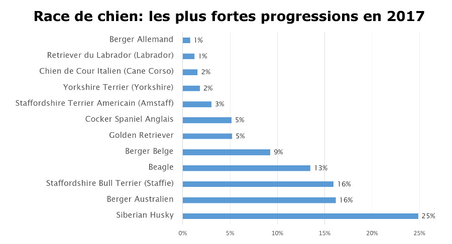 race de chien, les plus fortes progressions en 2017