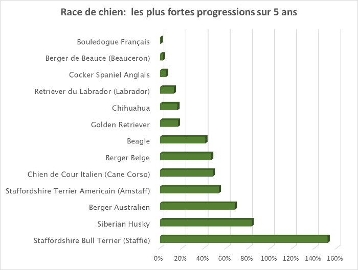 race de chien, plus fortes progressions sur 5 ans