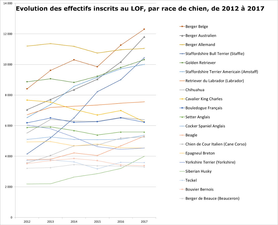 races de chiens, évolution des effectifs de 2012 à 2017