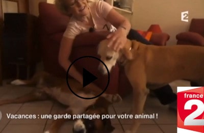 Reportage France 2 CAP échange de garde de chiens