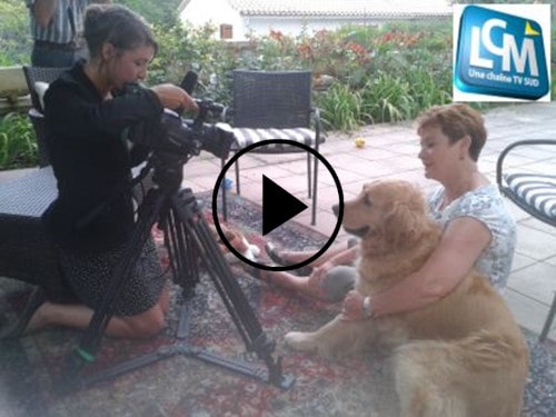 LCM, échange de garde de chiens à Aix-en-Provence