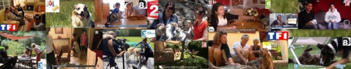 garde d'animaux entre particuliers rep.TV sur l'échange