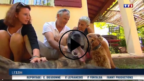 TF1 JT garde de leur chien à Aix-en-Provence avec Marc et Karine