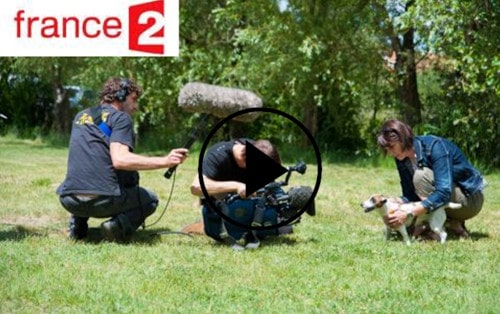 garde de chiens à Aix-en-Provence, reportage France 2 sur Animal Futé
