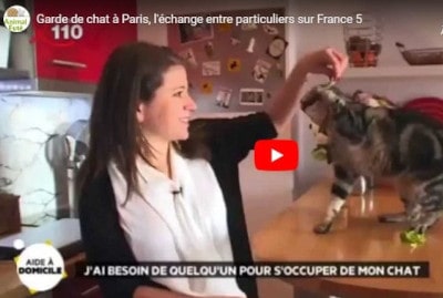 garde de chat, Animal Futé dans la Quotidienne, France 5