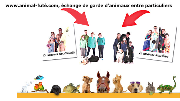 garde d'animaux entre particuliers, l'échange