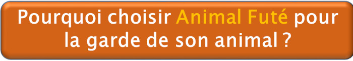 Pourquoi choisir Animal Futé pour la garde de son animal ?