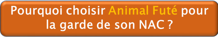 Pourquoi choisir Animal Futé pour la garde de son NAC ?