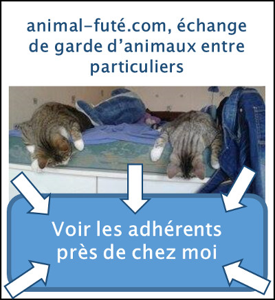 garde de chat, voir les adhérents à l'échange entre particuliers