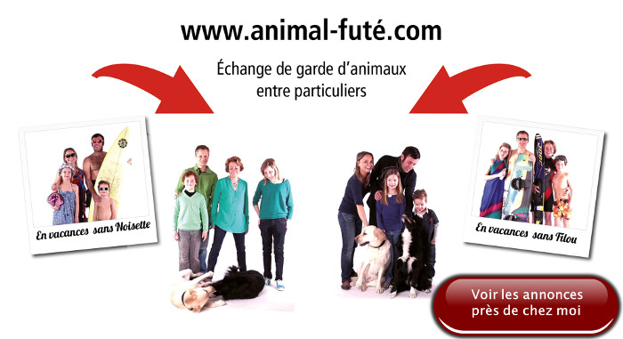 échange de garde de chien entre particuliers