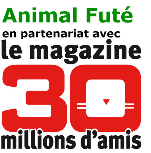 Animal Futé partenaire de 30 millions d'amis